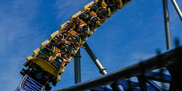 Products that Product. A ride to the top.